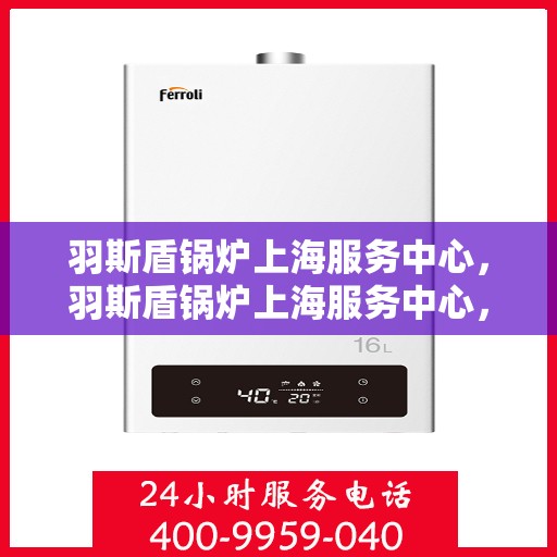 羽斯盾锅炉上海服务中心，羽斯盾锅炉上海服务中心，专业维修与优质服务的守护者