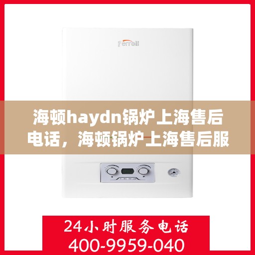 海顿haydn锅炉上海售后电话，海顿锅炉上海售后服务中心联系电话